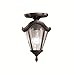 Kichler Lighting 9895TZG Outdoor Close to Ceiling Light, Tannery Bronze with Gold Accent
