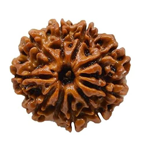 Pendentif Rudraksha en bois naturel pour vos séances de yoga et méditation