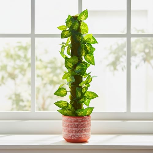 Image of fancymart Artificial Leaves Vine on Moss Stick 60 cm (Without Pot) | Decorative Indoor Plant for Home, Office, Cafe & Restaurant