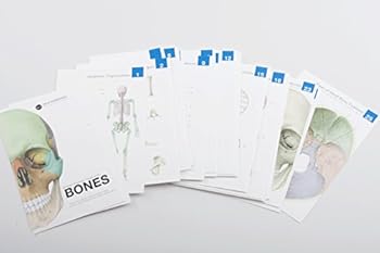 Cards Human Anatomy Flaschards: Bones Book
