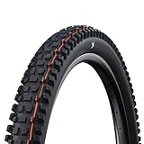Schwalbe Albert Radial TLR Neumático Plegable, 29x2.60 (65-622)