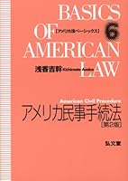 Amerika minji tetsuzukihoÌ„ 4335303718 Book Cover