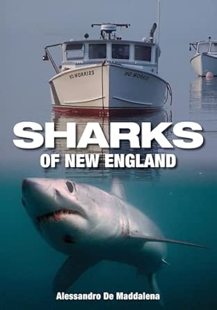 Sharks of New England-Wow! eBook