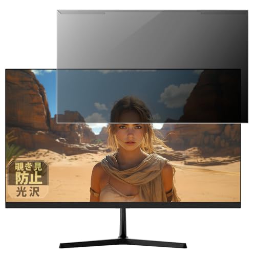 Leipsden JAPANNEXT JN-i238G180F �f�B�X�v���C �Ή� Connect PrivacyGloss �t���ی� �`�����h�~ �E���ł��� �v���e�N�^�[ �v���C�o�V�[ �t�B���^�[