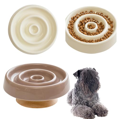 Lifetips P[u[eA P[u[ Lp X[t[h{E ؐ Hh~ ~ HZbg ^ L  􂢂₷ iؐx-X^CvJuEj