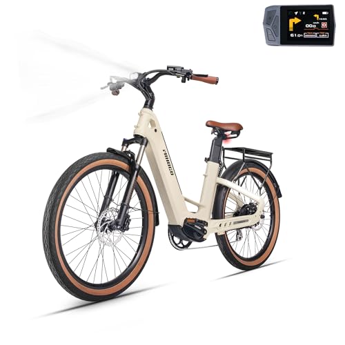 Zylvro Bici elettrica, con Doppia 48 V Batteria (9,Ah x 2), 26'...