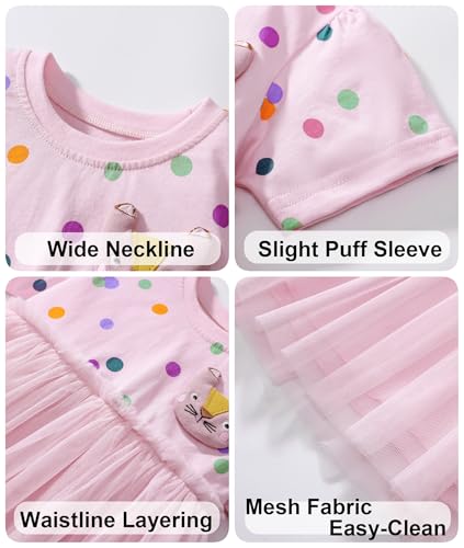 Toddler Girls Princess Dress Cotton Embroidery Short Sleeve Applique with Lace Tulle Party Holiday Dress Kids 2T 7Y4