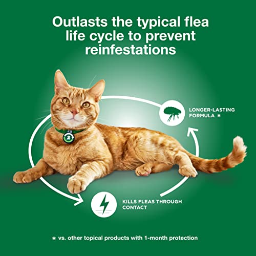 Adv Xd Lg Cat 1 Pk + Cat Tapeworm Dewormer 3 Ct #TOP7