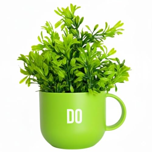 Image of Dekorly Colorful Wall-Mounted Mug Planters with Faux Greenery(20 CM)- Wall Decorative Pots for Vibrant Home & Office Decor| (3, Dream Dare Do)