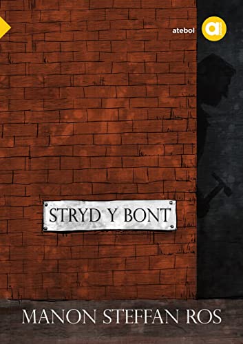 Stryd y Bont (Welsh Edition)