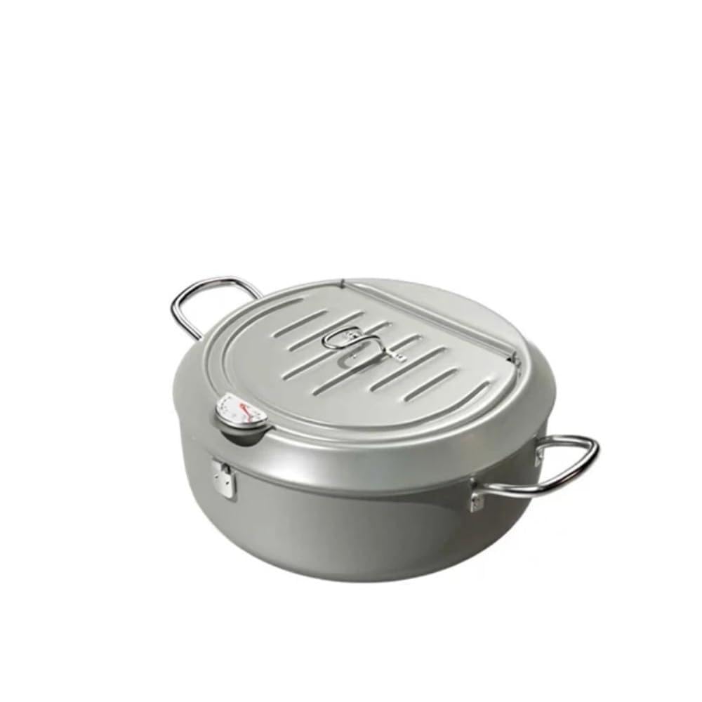 304 Stainless Steel Oil Pan Japanese Deep Frying Pot with a Thermometer and a Lid Kitchen Tempura French Fries Oil Fried Pan(Silver 24cm)