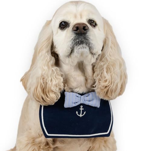 ybgp_CX   t Z[[ X^C lN^C yQl SM Č r[O (`13kg) ybgp_CXcX72XܓWJ2025/10/1_z