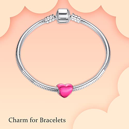 Image of S925 Sterling Silver Romantic Charm Pendant, Gifts for Family Friends Girlfriend, Valentine's Day Birthday Christmas Anniversary, Bracelet Necklace Bead Dangle Charm for Women Jewelry