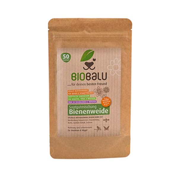 Biobalu Bienenweide - Blumenwiese Samen mehrjährig & winterhart, Samen - Über 40 heimische Blumen und Wildkräuter…