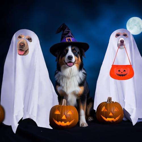 Disfraz Halloween Fantasma con Cubo Calabaza para Perro miniatura 7