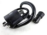 Ignition Coil for Polaris Trail Blazer 250 330 440 Trail Boss 250 330 350L