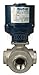 Dixon BV3IGLF-0381-ET 316SS 2PC L-Port Electric FNPT Actuated Ball Valve, 12 VDC, N4, 3/8"