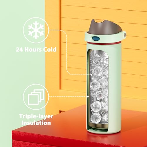 Image of 24 oz Insulated Water Bottle with Straw: Meoky Stainless Steel Metal Water Bottle with 2-in-1 Lid - Leak Proof, Cold for 24 Hours, Protective Silicone Base, BPA-Free for Sports Travel Car, Boneyard