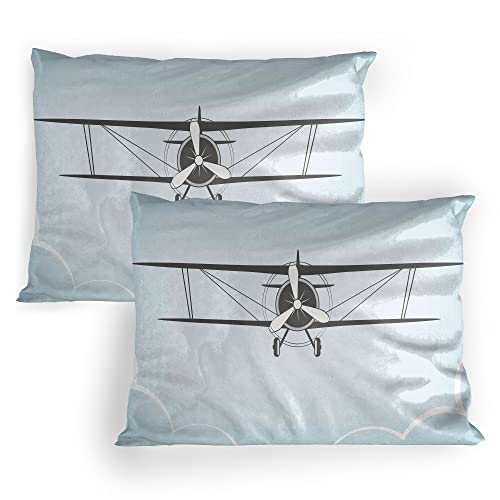 Lunarable Vintage Airplane Pillow Sham Set of 2, Retro Aviation Themed Illustration on a Blue Toned Backdrop, Quality Microfiber Bedding Item for All Seasons, 36