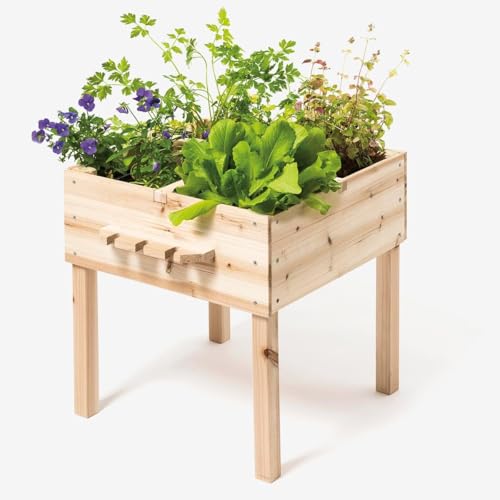 oxybul | Carré Potager en Bois 3 et Plus