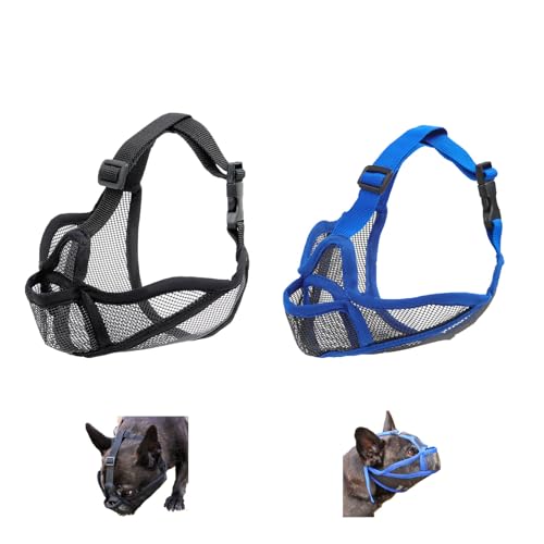 YYKSYDPT p bV}XN Hׂ i ݂ Ƌ̑h ^ ^ ^̃t`uhbOɓKĂ܂ (+, L)