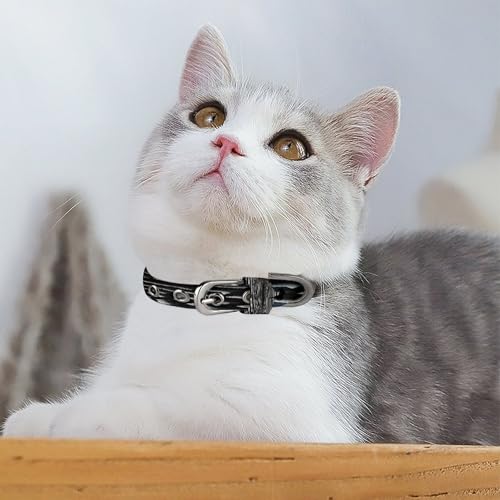 Visual Illusion Hundehalsband, verstellbar, Edelstahl, D-Ring-Halsband, Oxford-Stoff, Katzenhalsband mit Metallschnalle, für kleine, mittelgroße Hunde