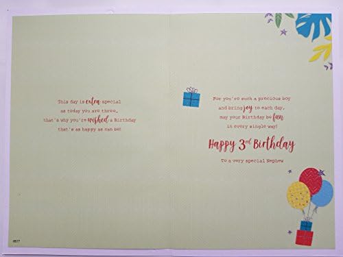 Special Nephew 3rd Birthday Card Age Three 8577