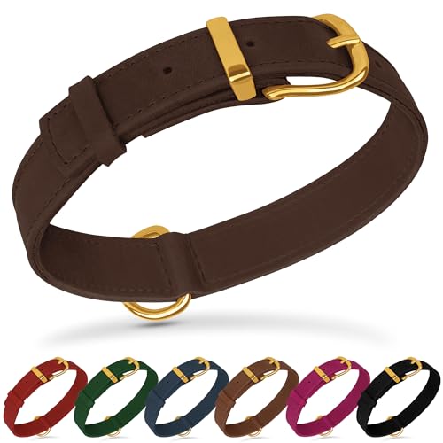 Collar de cuero para perro ajustable L 15-19 pulgadas miniatura 7