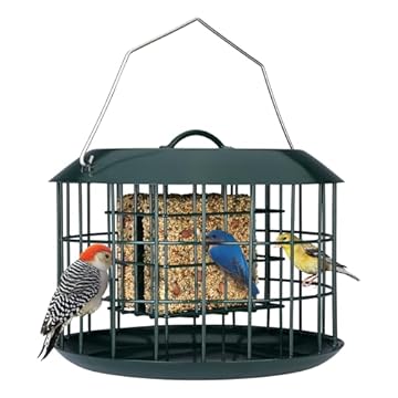 squirrel proof suet feeder
