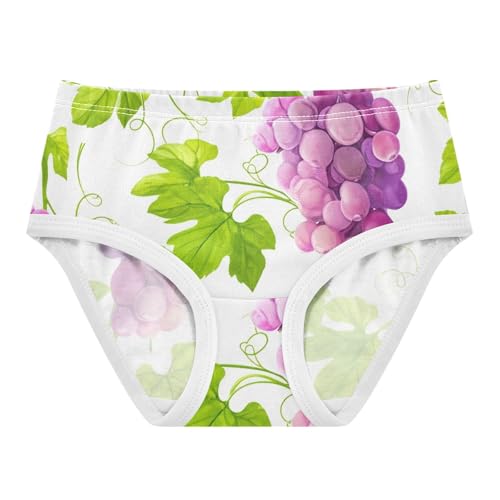 Toddler Underwear Floral 2t Cotton Panties for Girl Bright Undies Kids Briefs Purple Grapes Leaves White