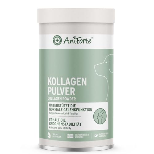AniForte Marine Kollagen Gelenkpulver für Hunde CollaMove 450g – Fisch Collagen unterstützt Gelenke, Sehnen & Bänder – Naturprodukt für Gelenkfunktion & Agilität