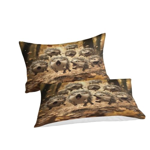 Housse de couette science-fiction 3D impression haute définition king size