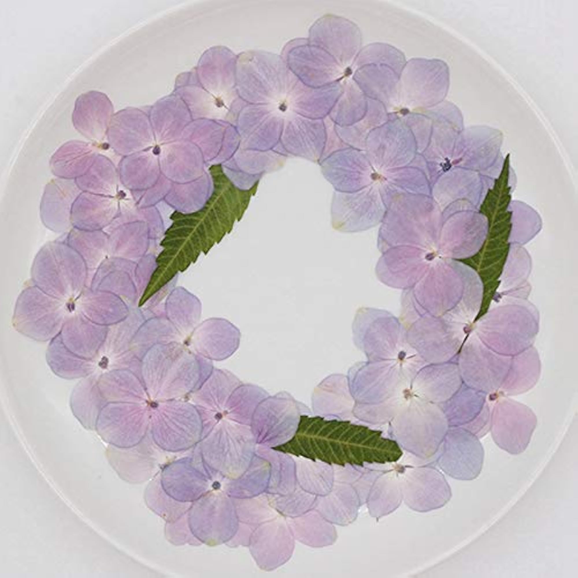 60PCS Natural Pressed Hydrangea Flowers for Crafts