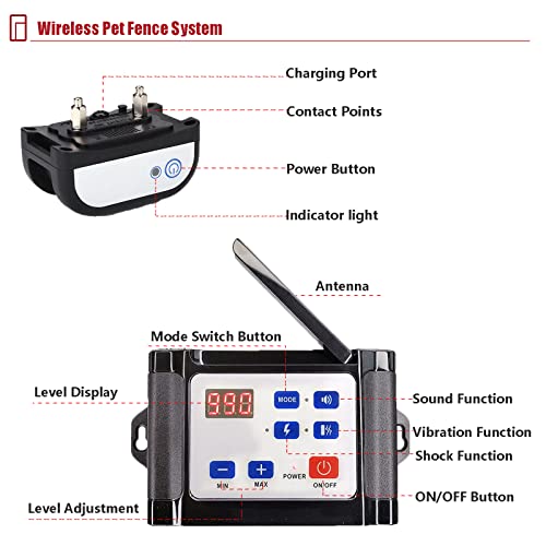HEXIEDEN Wireless Dog Fence In Use