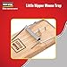 Pest-Stop Little Nipper Mouse Trap - Wooden Traps for Indoors - Durable Reusable Snap Traps - Mice Trap for Rodent Control - Mouse Traps for Home and Office - Contains 1 Loose Trap