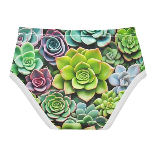 Succulent Plants Colorful Toddler Underwear Custom 2t Cotton Panties for Girl Personalized Briefs Kids Undies2