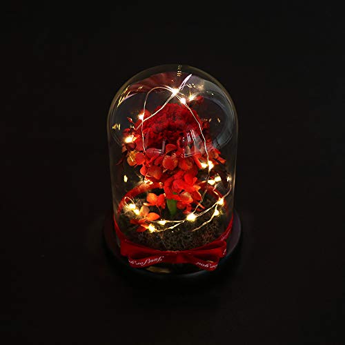 Preserved Flowers - Cooak Handmade Preserved Carnation, Upscale Flowers With Led Lights Red Preserved Flowers In Glass Dome Gift For Her Thanksgiving Christmas Valentine's Day Birthday Mother's Day #TOP5