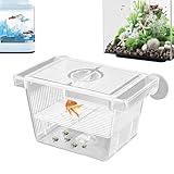 Acrylic Fish Breeder Box – Transparent Hatchery Incubator for Fish & Shrimp | Isolation & Acclimation Box for Aggressive Fishes | Multi-Functional Breeding Tank, & Fry