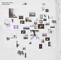 NOT WONK Down the Valley レコード Amazon.co.jp: Down the Valley 【限定300枚】(再プレス