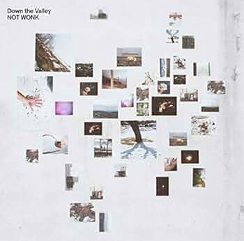 【新品】 NOT WONK / This Ordinary アナログ　レコード Amazon.co.jp: NOT WONK This Ordinary アナログ レコード : ホビー