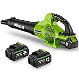 WorkBless Leaf Blower Cordless, 21V Electric Leaf Blower with 2 x 4.0Ah Batteries and Fast Charger, 22000RPM & 6 Speed Adjustable Blower for Lawn Care, Patio Cleaning, Dust, Snow Care(Green)