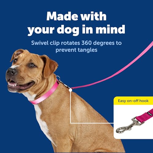 Image of PetSafe Nylon Dog Leash Strong, Durable, Traditional Style Lead with Easy to Use Bolt Snap for Small, Medium and Large Dogs 3 /4 inch x 6', Deep Purple