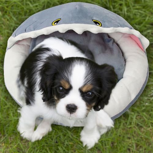 Cachette pour chat en forme de requin avec coussin amovible - 4