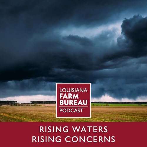 Rising Waters, Rising Concerns with Jay Grymes cover art