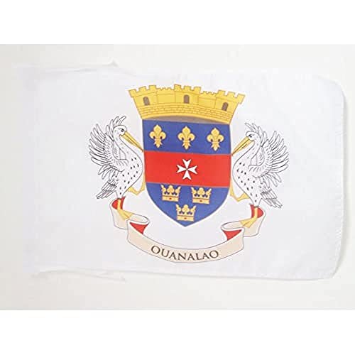 AZ FLAG, French Department of Saint Barthélémy Flag, 18'' x 12'', 100% Polyester France Small Banner with Two Cords