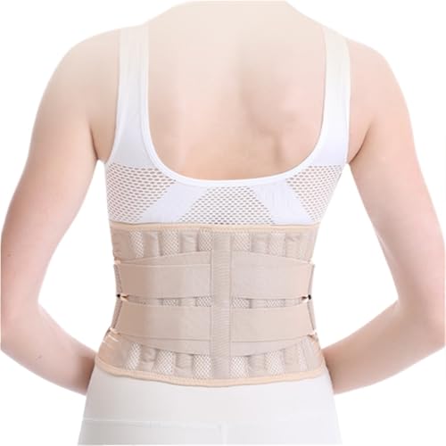 Ƀxg Y fB[X obN T|[g u[XANbVt߉\ȃobN T|[g  RZbg(A-a,L)