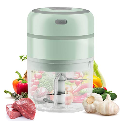 Top 10 Best Mini Food Processor For Nuts in June 2023