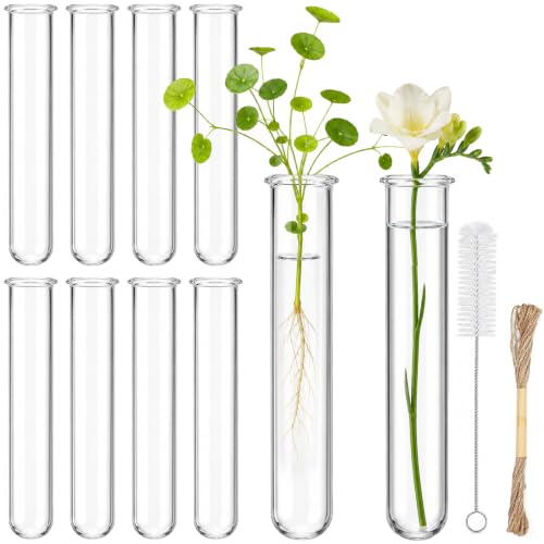 DONQL 10 Pcs Tubes à Essai en Acrylique avec Brosse et Ficelle de Jute