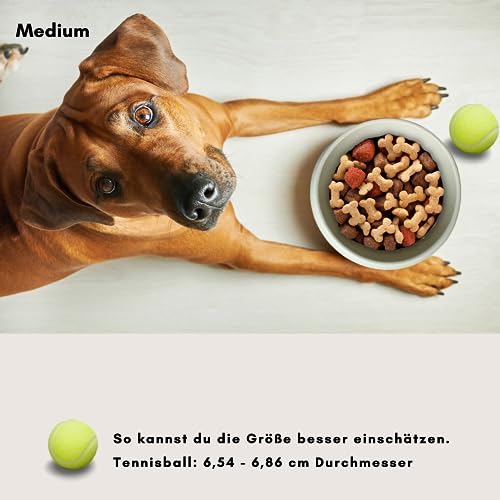 hej.mo Design Hundenapf Keramik | Creme | 20 cm Durchmesser & 1,8 L Volumen | robuster Fressnapf in stilvollem Design | spülmaschinenfest | Kratz- & bissfest | Futternapf für mittlere & große Hunde