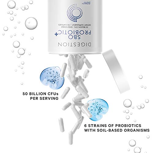 Codeage Sbo Probiotics, 50 Billion Cfus Per Serving, Multi Strain Soil Based Organisms Blend And Organic Fermented Botanical Blend, Shelf-Stable, 90 Capsules #TOP3